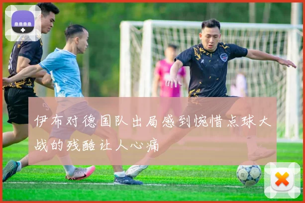 伊布对德国队出局感到惋惜点球大战的残酷让人心痛