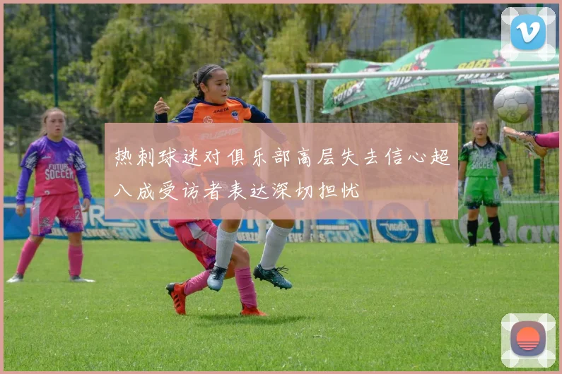 热刺球迷对俱乐部高层失去信心超八成受访者表达深切担忧